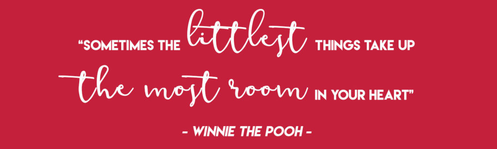  "Sometimes the littlest things take up the most room in your heart" - Winnie the Pooh 