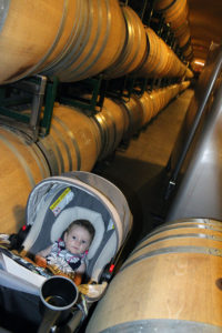 Napa Valley with Kids | Bottles & Banter