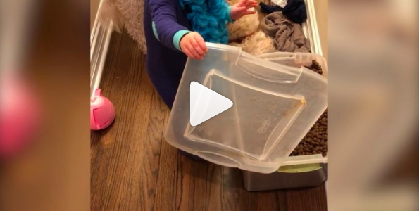 Shh… Don’t Tell Mom and Dad Shh… Don’t Tell Mom and Dad
