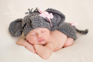 Elephant Newborn