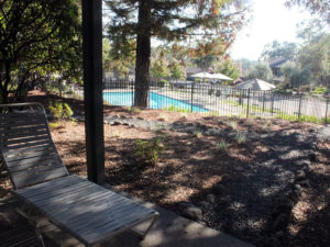 Silverado Resort Pool