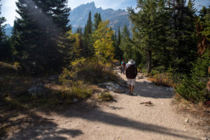 Family walking down a path to Moose Pond by Jenny Lake